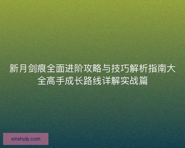 新月剑痕全面进阶攻略与技巧解析指南大全高手成长路线详解实战篇